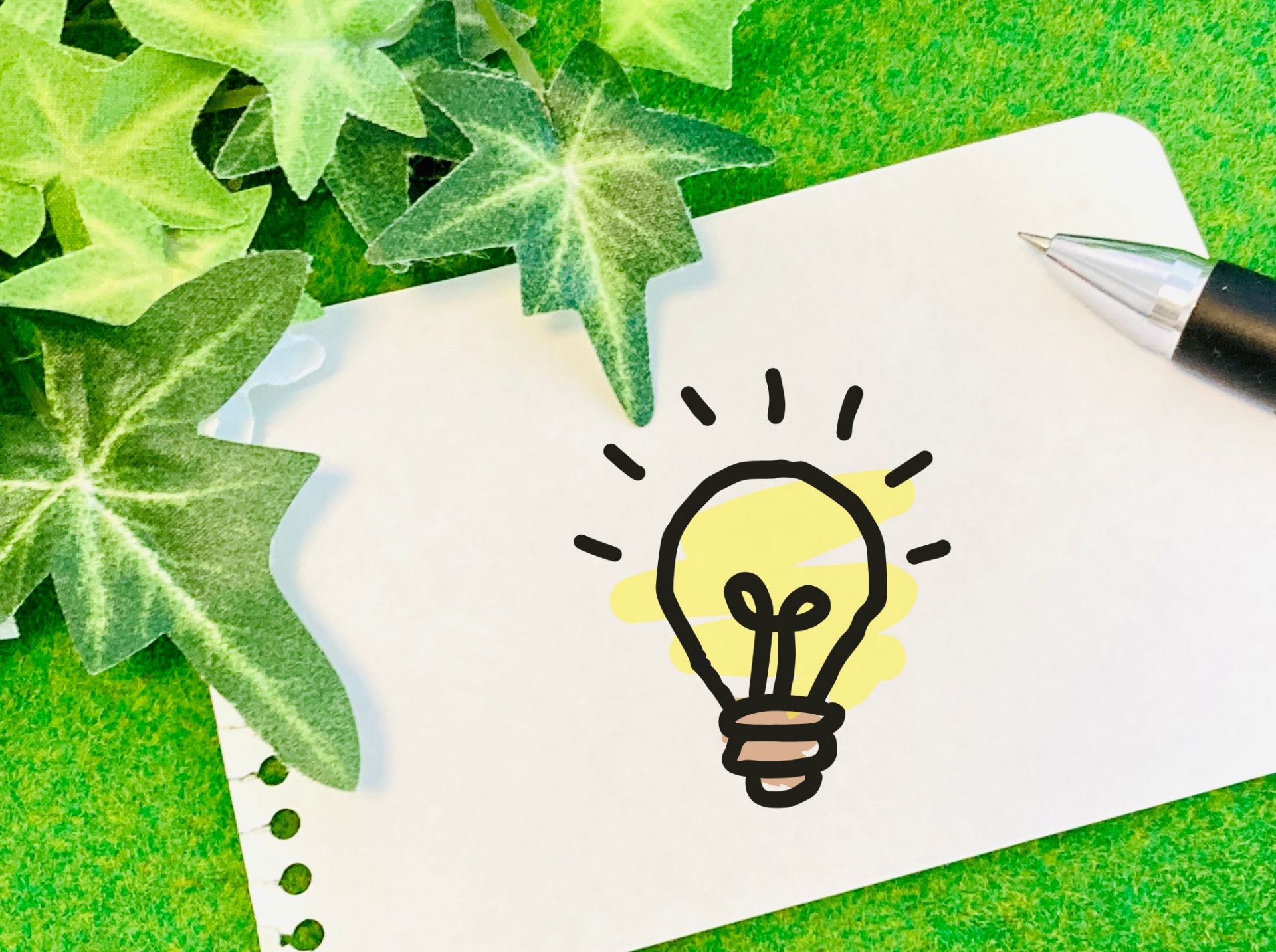 1764058644457851.jpg 33012550_m.jpg